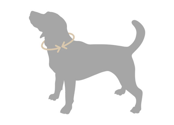 Où mesurer votre animal