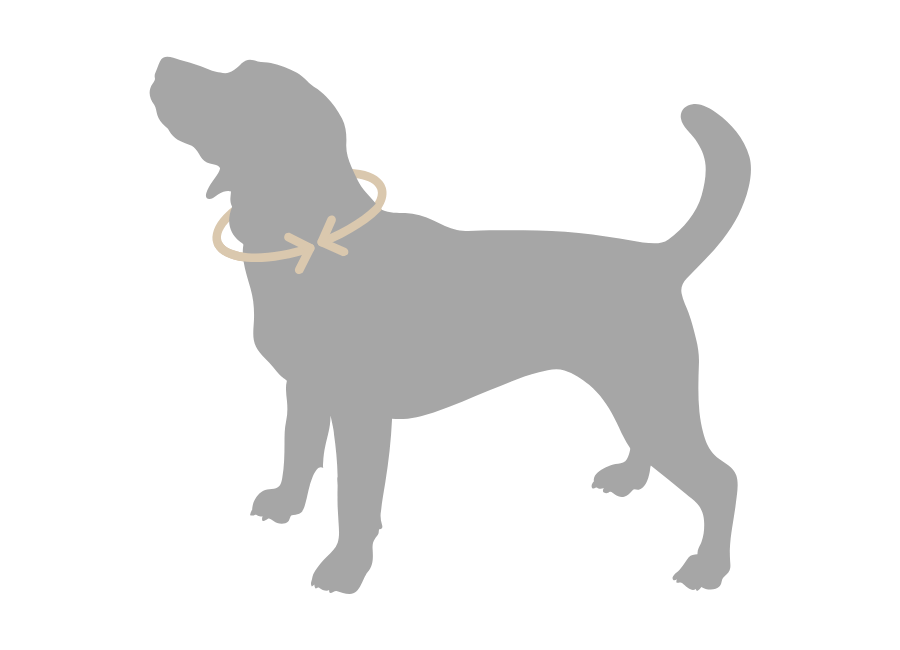Où mesurer votre animal