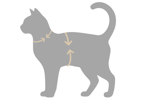 Où mesurer votre animal