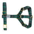 Harnais en Y Nessie : Motif rayé tartan vert écossais. Le harnais possède des boucles couleurs or