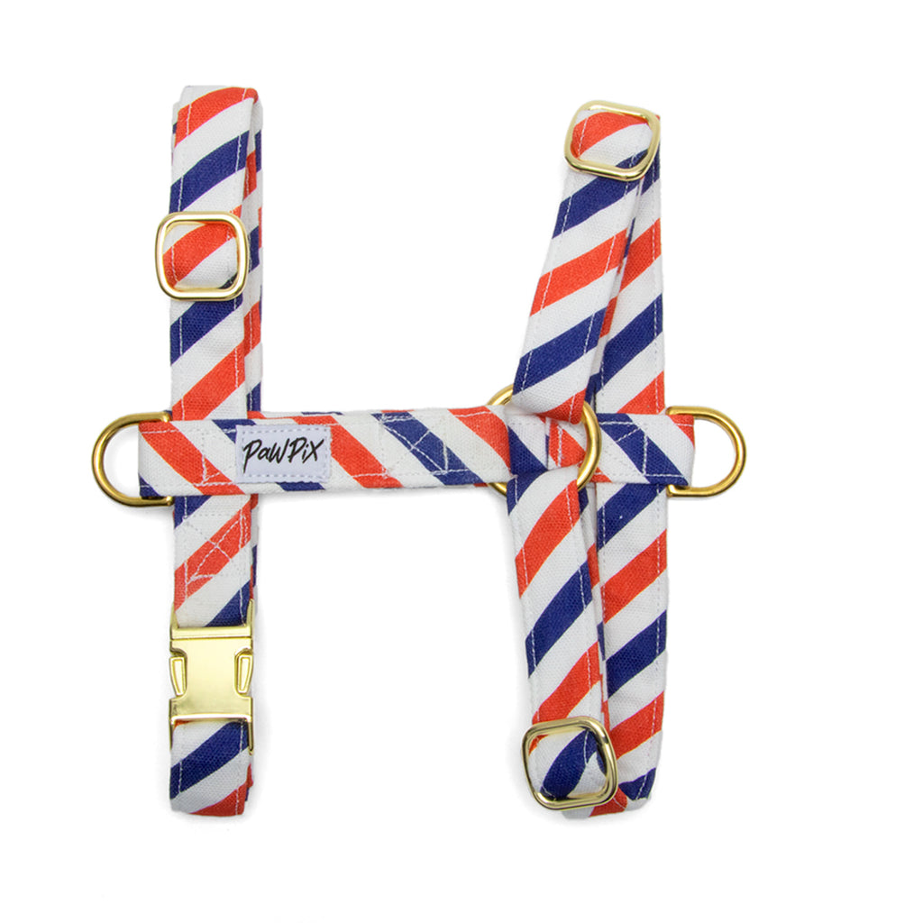 Harnais en H Pawtropte : Motif rayures bleu blanc rouge. Le harnais comporte une boucle anti-traction pour les chiens les plus fougueux. 