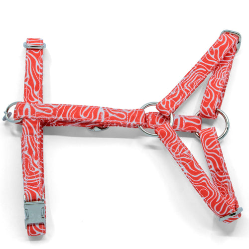 Vue d'ensemble du harnais en Y pour chat Cherry. Motif rouge et blanc wavy avec des boucles couleur argent