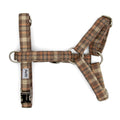 Harnais pour chat Scotty et sa forme Y. Le harnais est avec un motif tartan marron/orange et des boucles couleur argentés