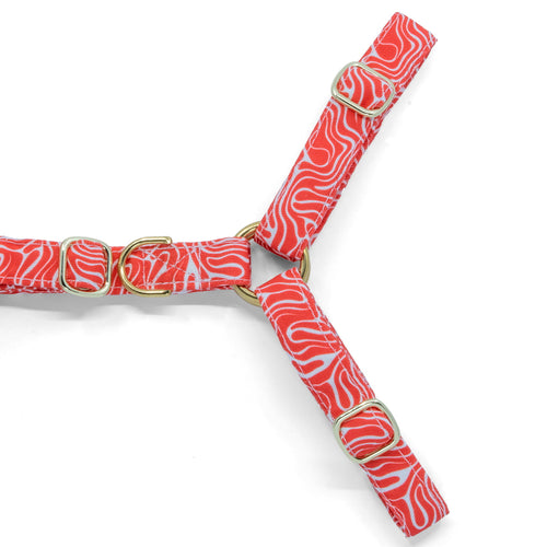 Plan rapproché de la boucle anti-traction du harnais en Y Cherry de Pawpix. La boucle est présente sur la partie poitrail du harnais et de couleur or. Le harnais présente un motif rouge et blanc wavy