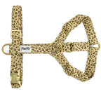 Harnais en Y pour chien Leopaw. Le harnais est avec un motif léopard et réglable grâce à des boucles de réglage couleur or clair.