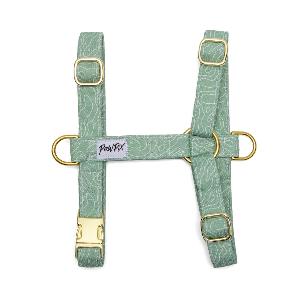 Harnais en H pour chien Topo : Motif topographique blanc sur fond vert. Le harnais comporte une boucle anti-traction pour les chiens les plus fougueux. 
 Le motif Topo reprend le design géométrique des cartes de montagnes, avec des lignes blanches sur un fond vert