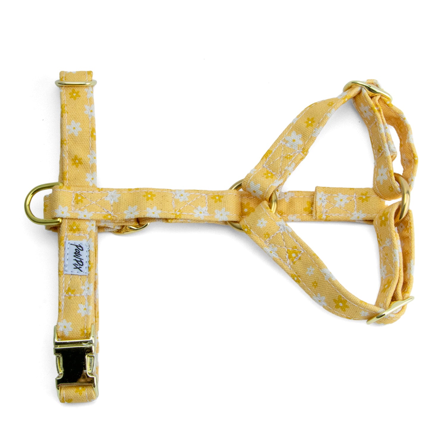 Harnais pour chat en Y Peachy Daisies de Pawpix et son motif marguerites blanches et jaune sur fond couleur pêche et ses boucles couleur or. 
