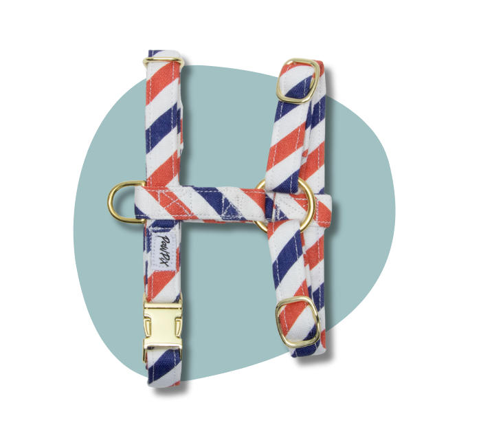 Harnais pour chat Pawtriote en version miniature pour menu