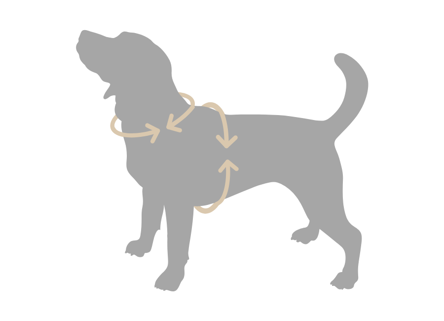 Où mesurer votre animal