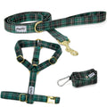 Kit pour chien comprenant un assortiement d'un harnais en Y, une laisse et une pochette sacs à crottes. Le tout au motif rayures tartan vert. 
