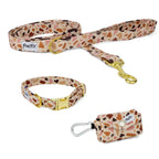 Kit balade collier pawpino motif pailleté terrazzo. Le kit comporte une laisse d'1m20, un collier et une pochette sac à crottes assortis