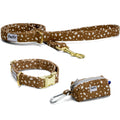 Ensemble collier pour chien Freckles et son motif marron tacheté blanc. Les boucles de la laisse et du collier sont couleur or. 