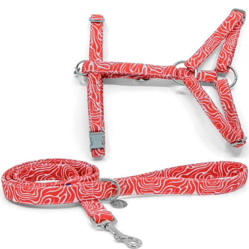Vue d'ensemble du kit harnais pour chat Cherry de Pawpix. Le kit compte une laisse ainsi qu'un harnais en Y pour chat, motif rouge et blanc wavy avec des boucles couleur argent