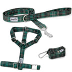 Kit pour chien comprenant un assortiement d'un harnais en Y, une laisse  et une pochette sacs à crottes. Le tout au motif rayures tartan vert avec des boucles argentés