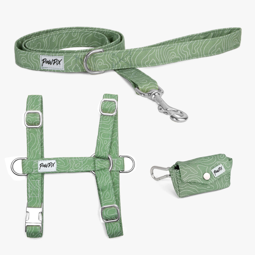 Kit pour chien comprenant un harnais en H, une laisse d'1m20 et une pochette sacs à crottes. Le tout au motif Topo, un design reprenant l'esprit montagne blanc sur un fond vert avec des boucles argentés