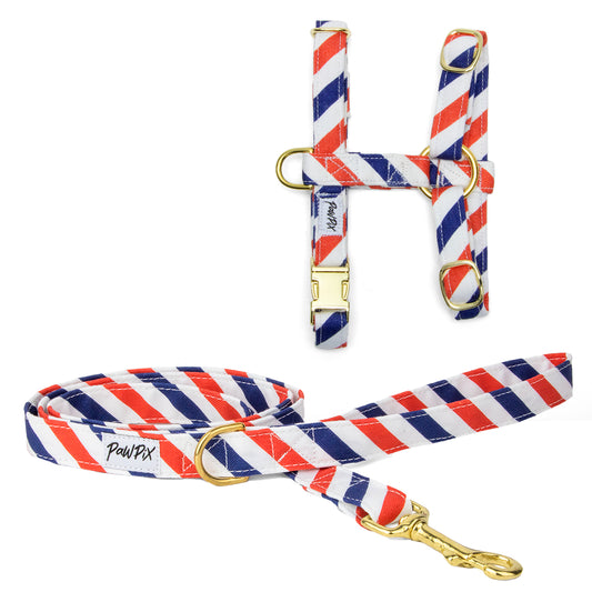 Kit harnais pour chat Pawtriote. Le kit comprend une laisse d'1m20 de longueur et un harnais en H disponible en 2 tailles différentes pour chat et grand chat. 
Le design Pawtriote représente des rayures légèrement inclinées bleu blanc rouge