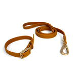 Kit de balade laisse et collier en Biothane Pumpkin de PawPix. Couleur orange/marron. La boucle de réglage et le mousqueton sont en doré mat.