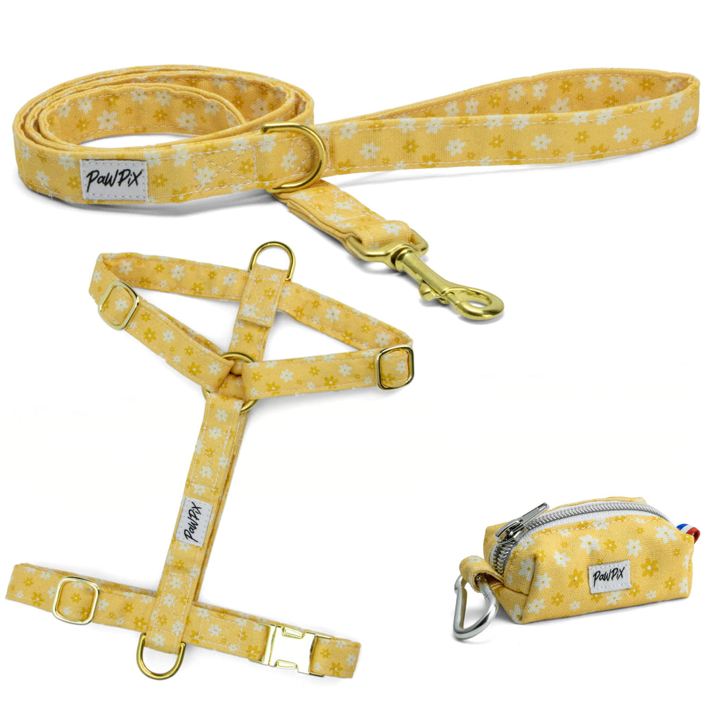 Kit harnais pour chien Peachy Daisies avec ses boucles couleur or. Le kit propose un harnais pour chien en H (disponible en 4 tailles), une laisse d'1m20 et une pochette sacs à crottes, le tout avec un motif marguerites blanches et jaunes sur fond couleur pêche. 