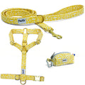 Kit harnais pour chien Seaside avec ses boucles couleur argent. Le kit propose un harnais pour chien en Y, une laisse et une pochette sacs à crottes, le tout avec un motif marin abstrait blanc sur fond jaune solaire