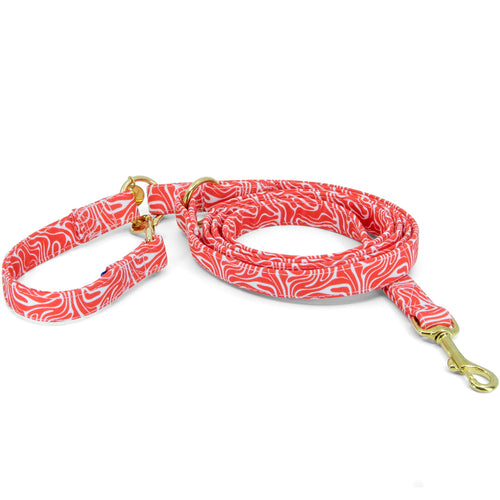Vue d'ensemble de la laisse multipositions pour chien Cherry de Pawpix. Le motif de la laisse présente un wavy rouge et blanc, et les boucles de la laisse sont couleur or