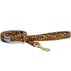 Laisse pour chien Freckles et son motif marron tacheté blanc. La laisse possède un mousqueton et un anneau D couleur or