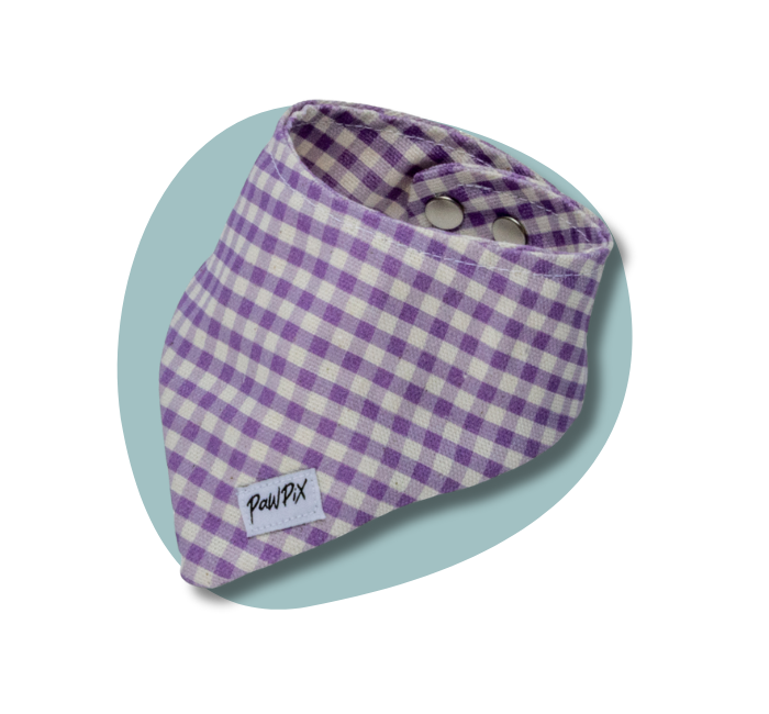 Bandana chat Cigalou en version miniature pour menu de la collection chat
