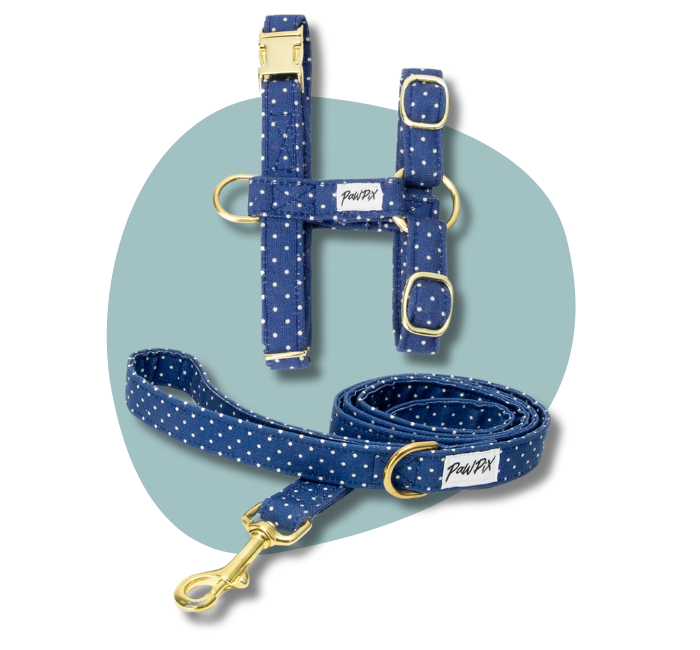 Kit de promenade pour chat en version miniature de menu