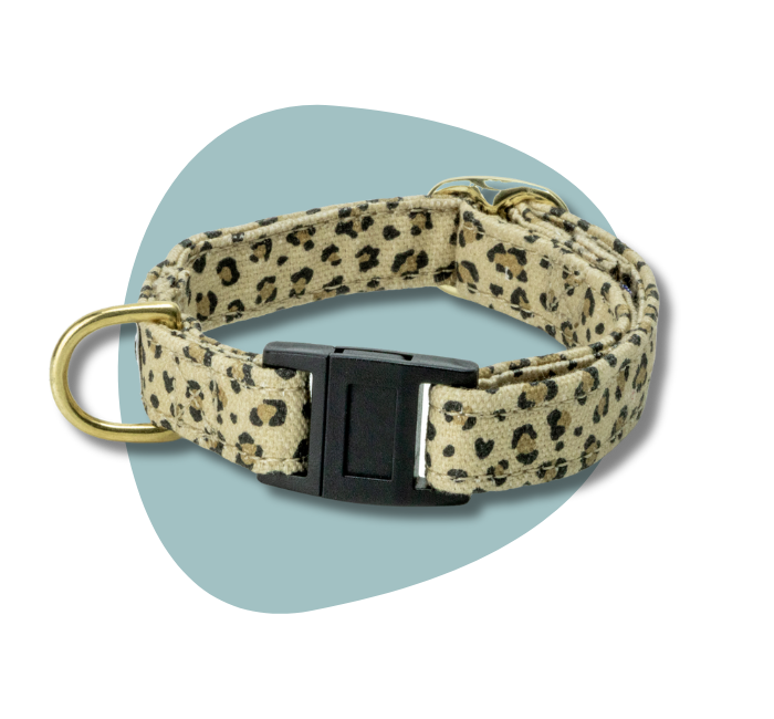 Collier pour chat Leopaw en version miniature pour le menu de la collection chat