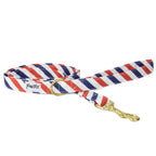 Laisse Pawtriote de Pawpix. Vue d'ensemble. Motif rayures tricolores bleu blanc rouge avec un mousqueton doré. 