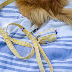 Pochette sacs à crottes et laisse pour chien Seaside avec un motif marin abstrait blanc sur un fond jaune. Dans une ambiance pique-nique avec une patte de chien en fond 