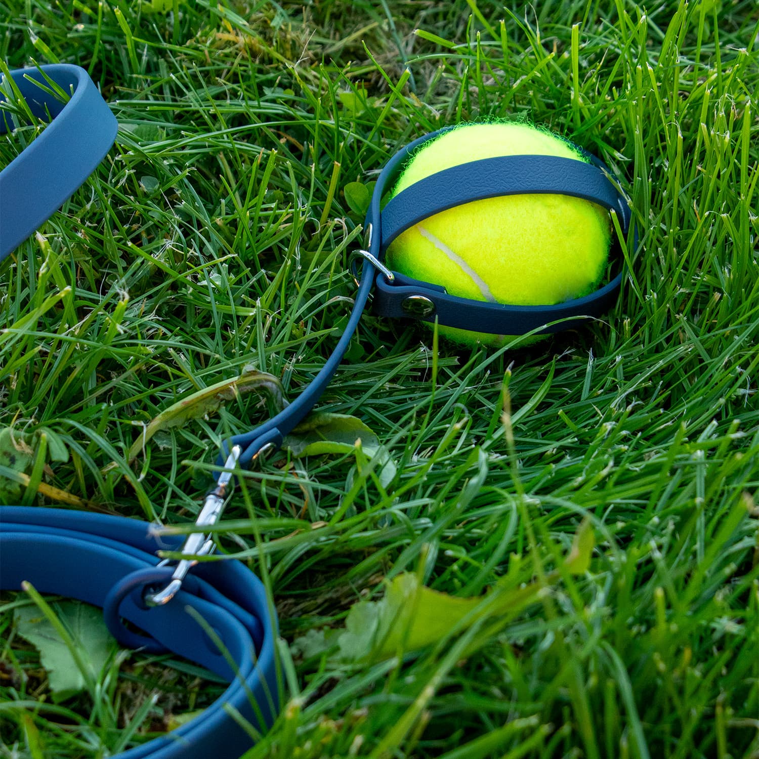Porte balle bleu Navy avec une balle de tennis, attaché à une laisse et posé dans l'herbe