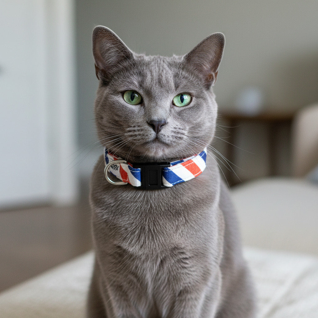Chat Bleu de Russie portant le collier pour chat Pawtriote de Pawpix. Motif tricolore rayé avec des boucles anti-étranglement