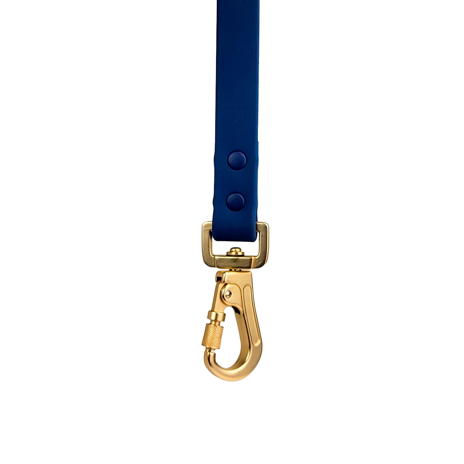 Laisse en biothane Navy de PawPix. Couleur bleu navy. Gros plan sur le mousqueton sécurité couleur doré mat.