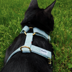 Harnais en H topo porté par un petit chat noir dans de l'herbe. Le harnais présente un motif topographique rappelant les montagnes et la nature. 