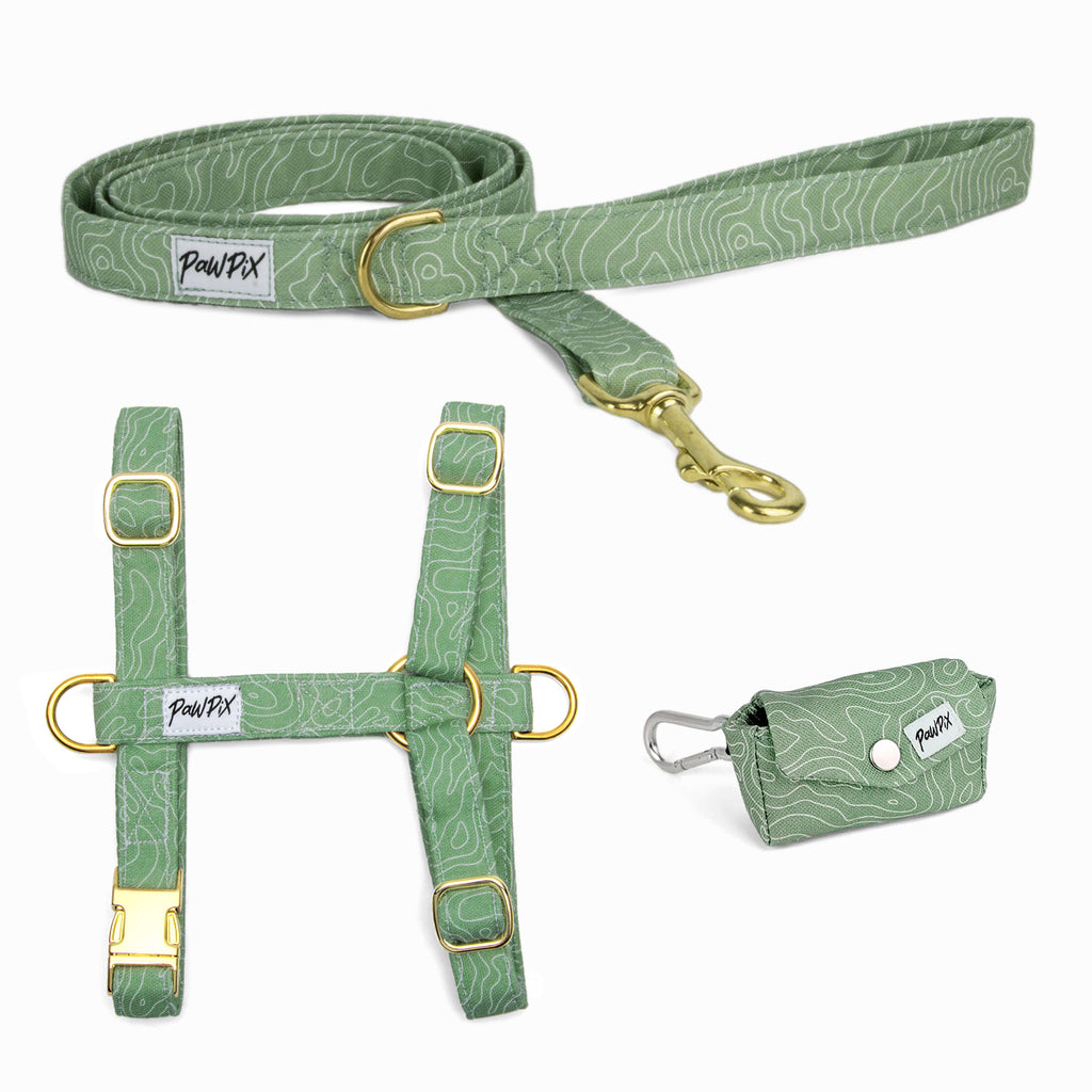 Kit pour chien comprenant un harnais en H, une laisse d'1m20 et une pochette sacs à crottes. Le tout au motif Topo, un design reprenant l'esprit montagne blanc sur un fond vert. 